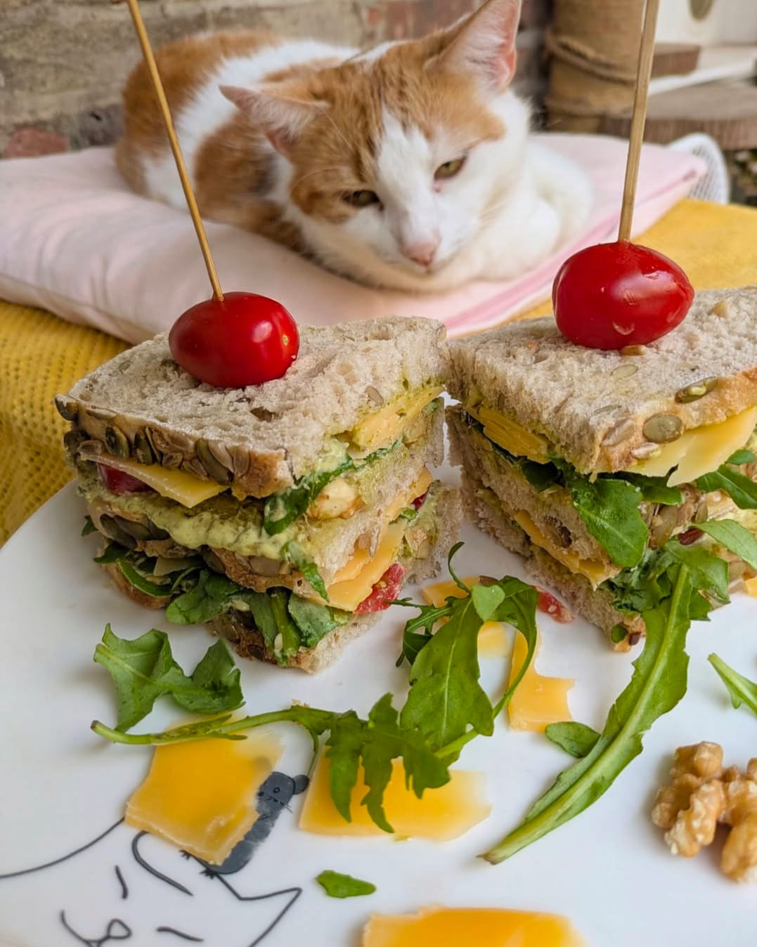 Driedubbele sandwich met oude kaas, met een kat op de achtergrond