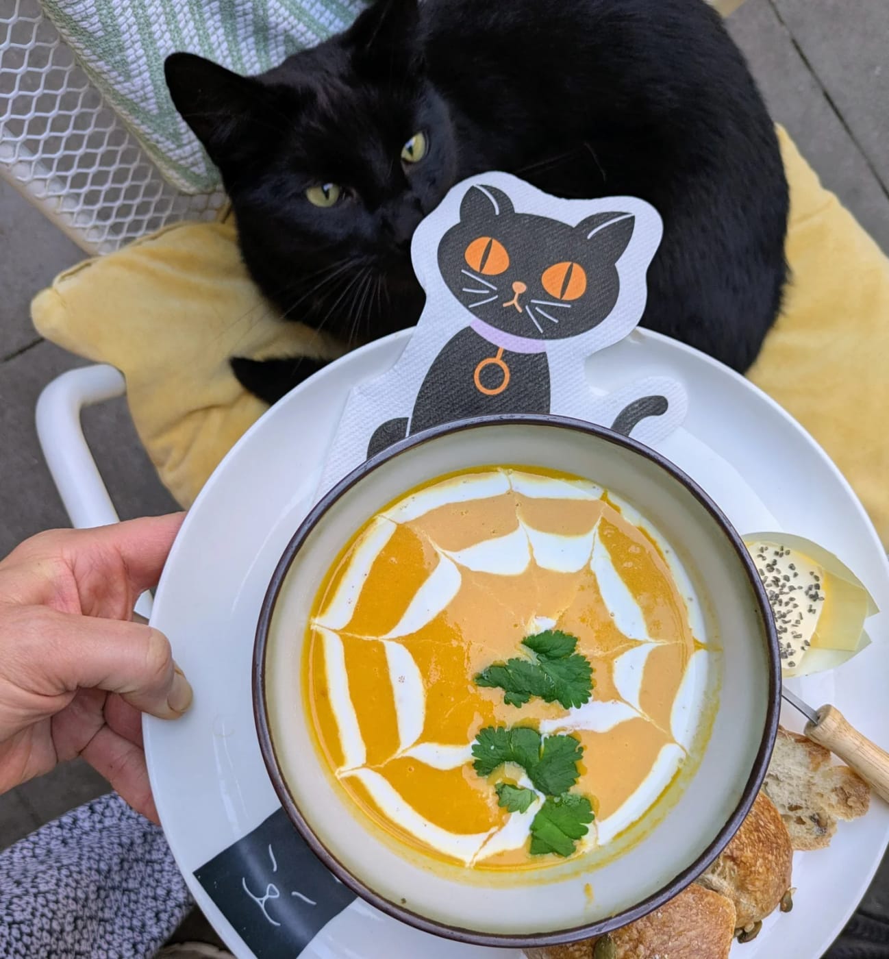 Kom soep op een bord met een kattenprint, Karel ligt erachter